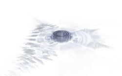 2014 05 03 Test 2 21-white.jpg